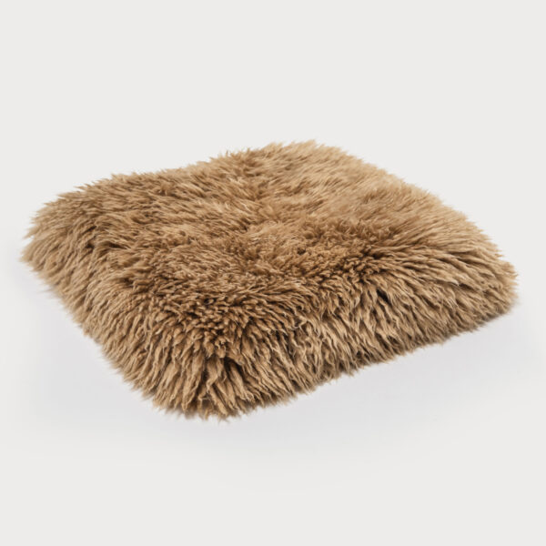 Honey Longwool